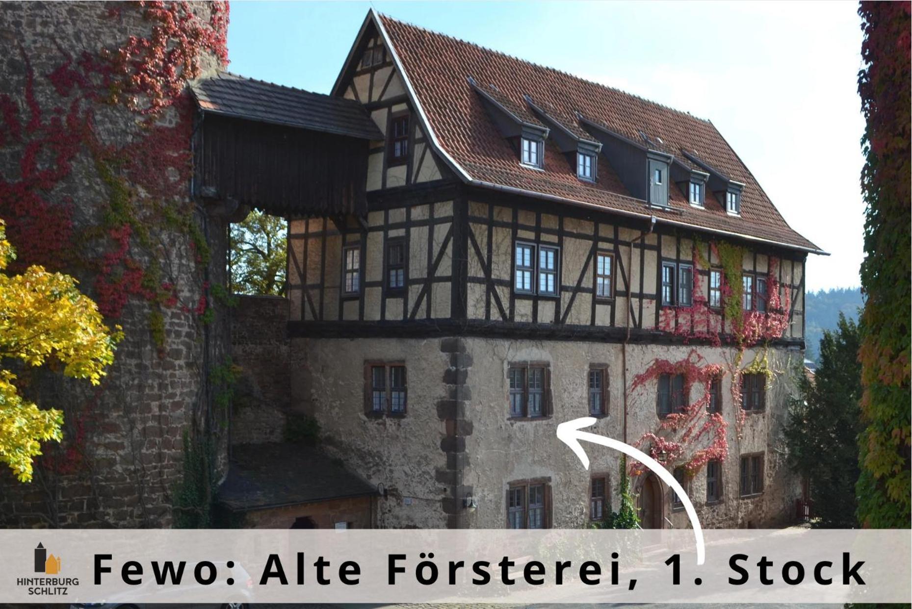 Alte Foersterei - Elegantes Apartment In Der Historischen Hinterburg Schlitz - Nahe Fulda Und Bad Hersfeld Luaran gambar